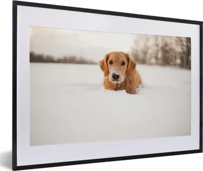 Produktbild von MuchoWow® MuchoWow® Gerahmtes Poster Hund - Schnee - Winter 60x40 cm - Poster mit zchwarzem Bilderrahmen - Schlafzimmer - Plakat in Rahmen - Drucken
