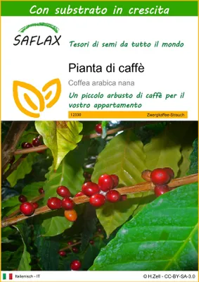 Immagine prodotto di SAFLAX - Pianta di caffè - 8 semi - Con substrato - Coffea