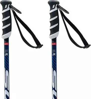 Produktbild von Swix Wc Pro Sg Junior Stöcke Silber 110 cm Silber 110 cm