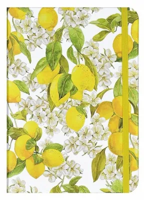 Imagen del producto de Diario/Cuaderno de los limones de Amalfi
