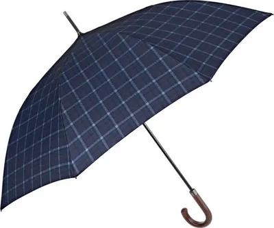 Image de Parapluie automatique pour homme Perletti Technology / bleu, 21790
