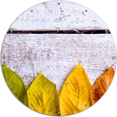 Produktbild von Wallario rundes Outdoor-Poster für Garten oder Balkon, Motiv Bunte Herbstblätter auf hellem Holz, 120 cm Durchmesser