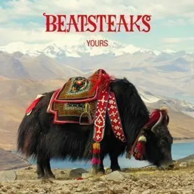 Produktbild von Yours