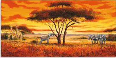 Produktbild von ARTland Wandbild Alu für Innen & Outdoor Afrikanische Landschaft II Größe: 40x20 cm