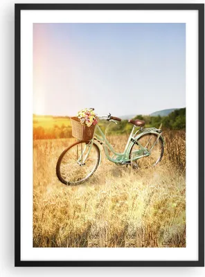 Produktbild von Gerahmtes Poster - Schwarzer Rahmen - Fahrrad Wiese Blumen - 50x70 cm - Wand Bild - Wanddeko - Wandbilder - Kunstposter - Wandposter - Bilderrahmen - Bilder - Kunstdruck - Wandbild - P2BPA50x70-4206
