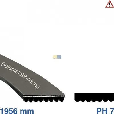 Produktbild von Europart Keilrippenriemen wie BOSCH 00117448 1956PH7 für Trockner