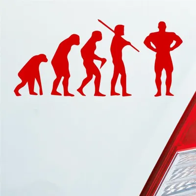 Produktbild von Auto Aufkleber Evolution Fitness Sport Bodybuilding 15x7 cm Rot Sticker Heckscheibenaufkleber