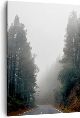Produktbild von Bild auf Leinwand - Leinwandbild - Einteilig - Weg Nebel Straße - 50x70cm - Wand Bild - Wanddeko - Wandbilder - Leinwanddruck - Kunstdruck - Wanddekoration - Leinwand bilder - Wandbild - PA50x70-5168