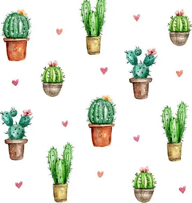 Produktbild von Braun & Company Servietten Motiv Cactus Love 33 x 33 cm - 20er Pack