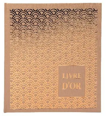 Image de Exacompta 2x Livre d'or 140p. tranche or 21x19cm PALMYRE Visuels assortis 952E