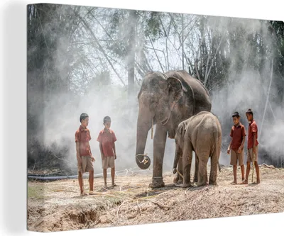 Produktbild von OneMillionCanvasses® - Leinwandbilder - 140x90 cm, Elefanten in Thailand, Wandbilder Kunstdruck Wanddekoration