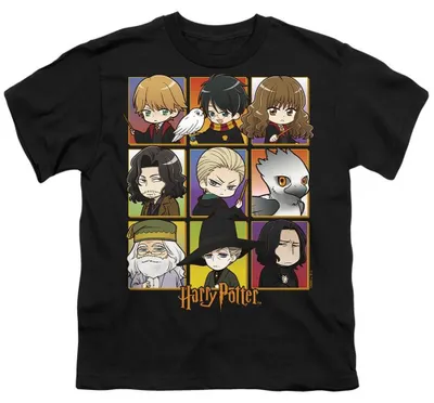 Immagine prodotto di Maglietta per bambini di Harry Potter, modello TV36382 (taglia 104), colore nero