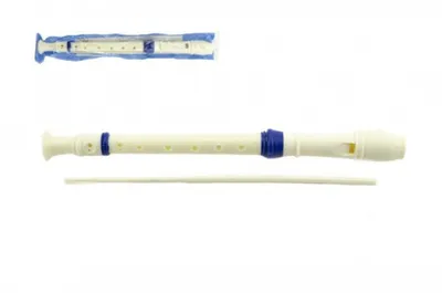 Produktbild von Plastikflöte 33cm mit Reiniger in Plastikverpackung