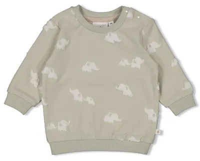 Produktbild von Feetje-Sweater AO - Elephant-Minze