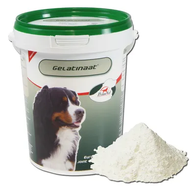 Productafbeelding van Oeroude Gelatinehond