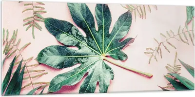 Produktbild von Bilder auf glas - Einteilig - Blatt Tropisch Palme - 120x50cm - Glasbilder - Wandbilder - Bilder - zum Aufhängen bereit - Wanddekoration aus Glas - Glas Bilder - Wandbild auf Glas - GAB120x50-4314