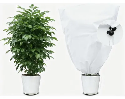 Produktbild von Winterschutz für Pflanzen 60x80cm Frostschutzsack Weiß mit Zugband atmungsaktiv lichtdurchlässig