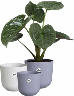 Obrázek produktu pro Květináč Elho Jazz White Purple Plastic round 3 kusy