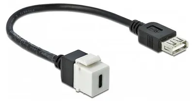Immagine prodotto di Delock Keystone Modul USB 2.0 C Buchse > USB 2.0 A Buchse mit Kabel
