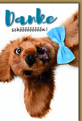 Produktbild von Danke - Karte mit Umschlag - Hund mit Schleife