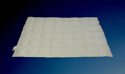 Produktbild von Betten Hofmann Masuren Ganzjahres Daunendecke Daunenbett Bettdecke 6x8 135x200 cm