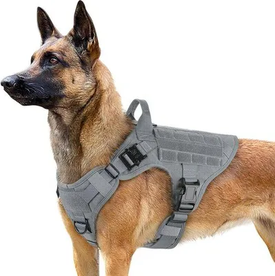 Produktbild von Großes Hundeharness mit Griff, verstellbar, Sicherheitstürgel