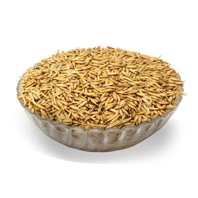 Produktbild von LanDixx Hafer 5 kg Futterhafer gereinigt Pferdefutter Geflügelfutter Nagerfutter Schafe