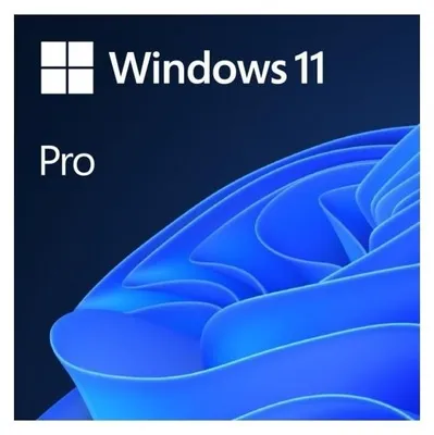 Produktbild von Windows 11 Pro - Lizenz - 1 Lizenz - OEM - DVD - 64-bit - Spanisch