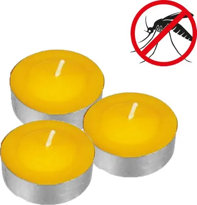 Produktbild von Teelichter mit Zitronengras-Duft (Packung 15 Stück)