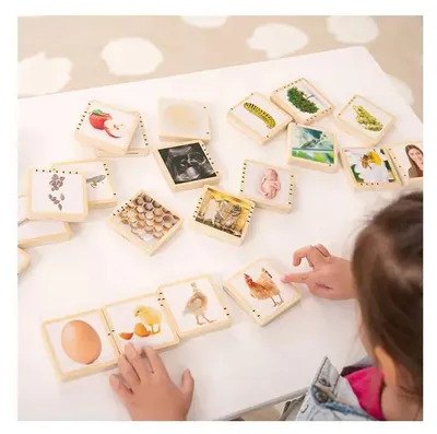 Obrázek produktu pro Tickit Wooden Lifecycle Tiles, 0 rok/roky, Dřevo, Vícebarevný