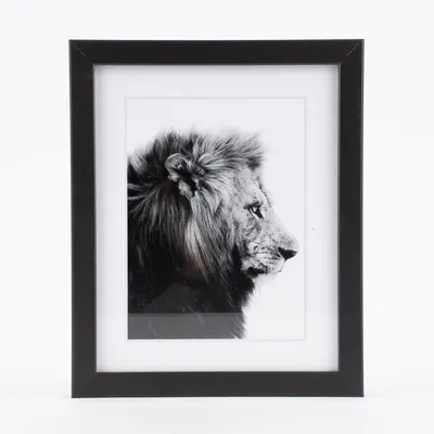 Produktbild von Bilderrahmen mit Bild Löwe oder Zebra schwarz weiß 23x28x3cm