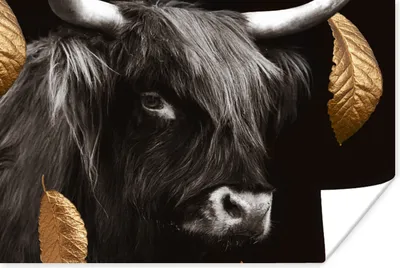 Produktbild von MuchoWow® Poster Gold - Schottischer Highlander - Blätter 180x120 cm - Fotoplakat