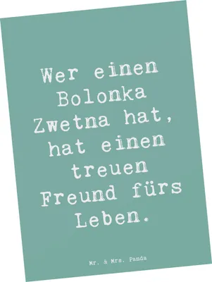 Produktbild von Mr. & Mrs. Panda Postkarte Spruch Bolonka Zwetna - Meeresbrise - Geschenk, Freundschaft, Ansichtskarte, Hunderassen Charakter, loyaler Begleiter, Grußkarte, bildkarte