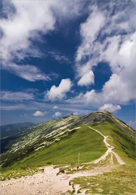 Produktbild von Wallario Poster - Alpenluft, Kunstdruck Größe: 70 x 100 cm