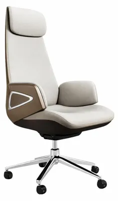 Immagine prodotto di Sedia da ufficio ergonomica con schienale e braccioli regolabili