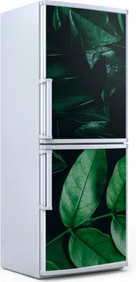 Produktbild von Kühlschrankdekoration 70x180 cm Aufkleber auf dem Kühlschrank - grüne Blätter