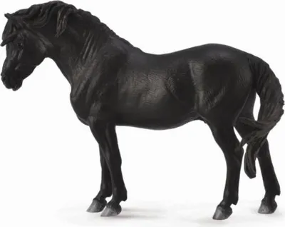 Image de COLLECTA Poney Dartmoor - noir