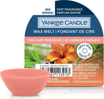Produktbild von Yankee Candle The Last Paradise, Rund, Orange, 22 g, 1 Stück(e)