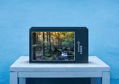 Produktbild von hansepuzzle 46741 - Wald Puzzle, 1000 Teile, Natur, 60,0 x 46,0cm mit hochwertiger Aufbewahrung, Kartonbox und wiederverschließbarem Beutel