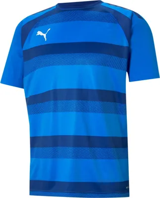 Produktbild von Puma Teamvision Trikot Kurzarm Herren - Royal