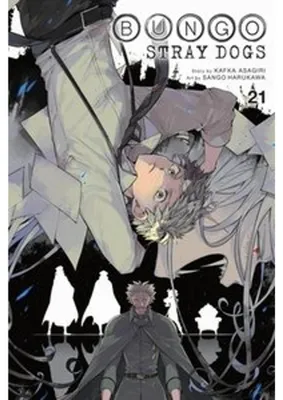 Immagine prodotto di Bungo Stray Dogs, Vol. 21
