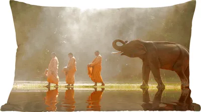 Produktbild von MuchoWow® Zierkissen Sofakissen Wohnzimmer Dekokissen 50x30 cm Elefant - Wasser - Tiere - Natur - Wohnzimmerdekoration - Polster mit Photo
