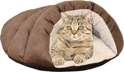 Immagine prodotto di Zona notte "Grotta delle coccole", 22 pollici, marrone, cuccia per animali domestici