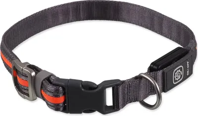 Zdjęcie produktu dla Obroża nylonowa LED Dog Fantasy USB, świecąca M-L, pomarańczowa, 2,5 x 45-65 cm