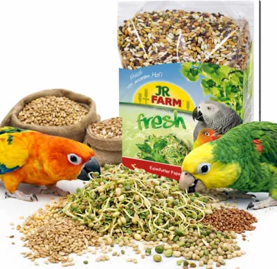 Zdjęcie produktu dla JR FARM Big Parrots - Kiełki dla dużych papug 1kg