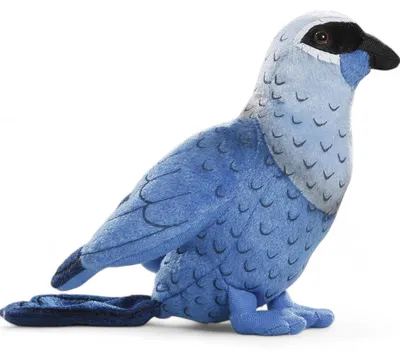 Immagine prodotto di Carl Dick Lappenkrähe, Kokako ca. 18 cm 2923 peluche, peluche, peluche