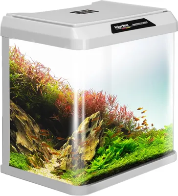 Produktbild von Krüger Meier Como Aquarium - Aquarienset, weiß, Inhalt 7L, Schnellstart