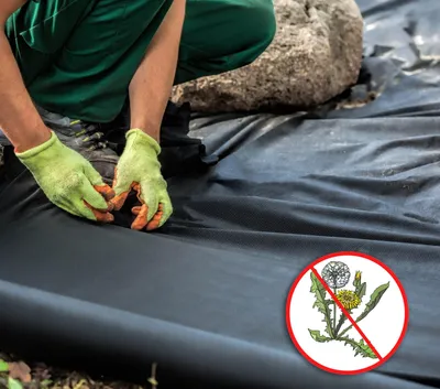 Image de Tissu de paillage, largeur 1,6 m, grammage 150 g/m², protection UV, idéal pour lutter contre les mauvaises herbes dans le jardin