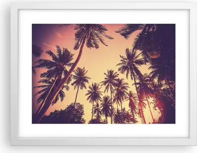 Produktbild von Gerahmtes Poster - Weißer Rahmen - Palmen Himmel Sonne - 40x30 cm - Wand Bild - Wanddeko - Wandbilder - Kunstposter - Wandposter - Bilderrahmen - Bilder - Kunstdruck - Wandbild - P2WAA40x30-4220