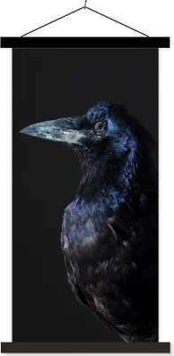 Produktbild von MuchoWow® Textilposter Vogel - Tiere - Schwarz 60x120 cm mit schwarzem Rahmen - Magnete